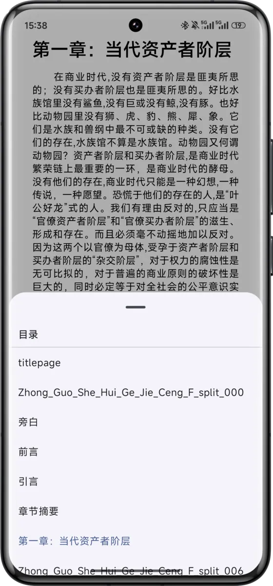 ePub 阅读器